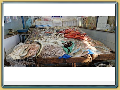 Hurghada - Fischmarkt