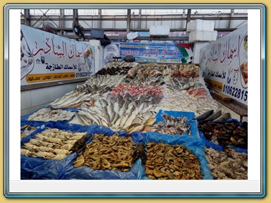 Hurghada - Fischmarkt